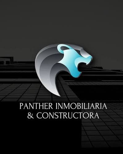 Panther Inmobiliaria y Constructora